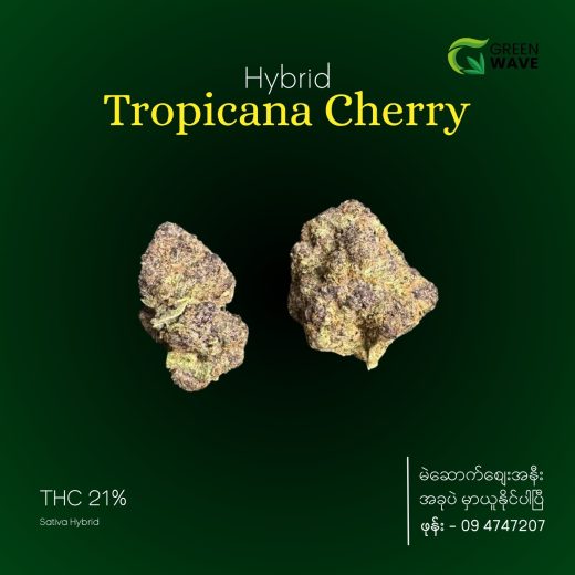 Tropicana Cherry