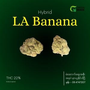 LA Banana